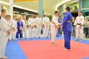 Festival_sol_Europark_2_9_034